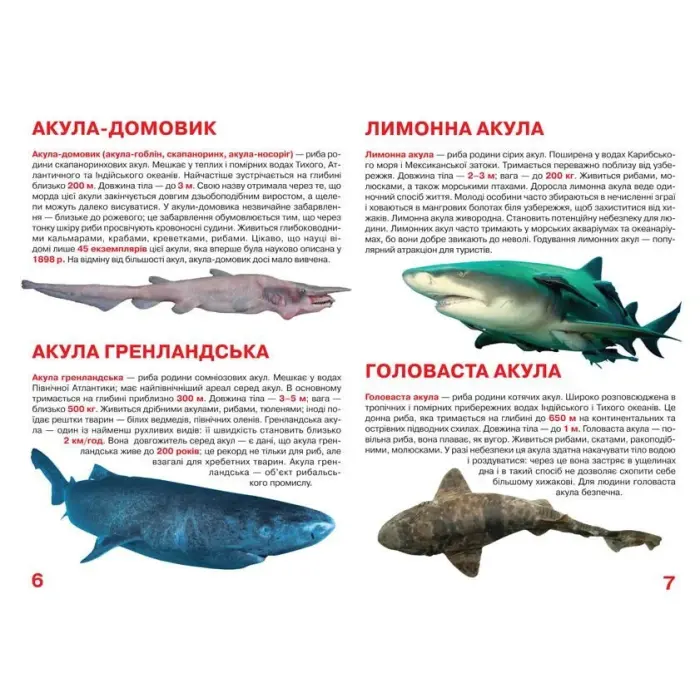 Книга "Большая книга. Акулы" (укр)