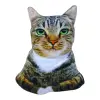 Игрушка мягкая «Кошка Лолита» размер L (35 см)