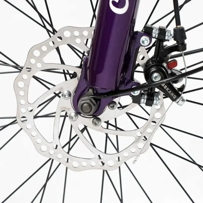 Велоcипед міський Corso «Viola» 26 дюймів VL-26914