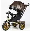 Велосипед 3-х колісний "BestTrike Perfetto" (поворотне сидіння, колеса гумові безкамерні, кошик, фара музична, USB, Bluetooth)