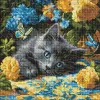 Алмазна мозаїка "Кошеня блакитнооке" 40х40 см