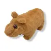 Капибара к