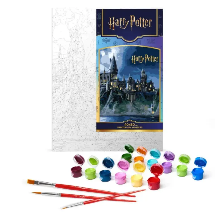 Картина по номерам с красками металлик "Harry Potter: Хогвартс ночью" 40х50см