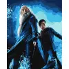 Картина по номерам с красками металлик "Harry Potter: Гарри и Дамблдор" 40х50см