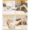 Зошит КОЛЬОРОВИЙ на 18 аркушів КЛІТИНКА "RELAX CATʼS" (20 ШТ)