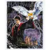 Картина по номерах WB "Harry Potter: Атмосфера магії" 40х50 см