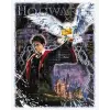 Картина за номерами - Harry Potter: Атмосфера магії ©Warner Bros.