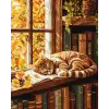 Картина за номерами - Кіт та книга ©art_selena_ua