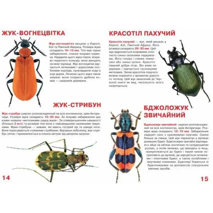 Книга "Большая книжка. Жуки" (укр)
