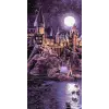 Картина за номерами - Harry Potter: Прибуття до Гоґвортсу з фарбами металік extra ©Warner Bros.