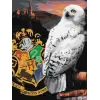Картина за номерами - Harry Potter: Гедвіґа та Гоґвортс ©Warner Bros.